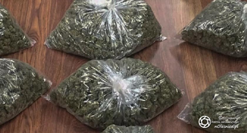 20 - latek z plantacją marihuany, mefedronem i kokainą