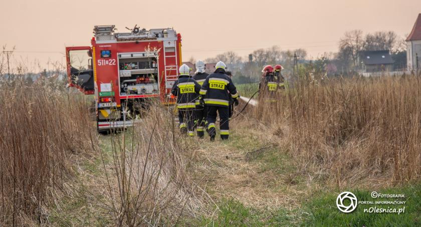Pożar traw w Cieślach - mężczyzna został poparzony