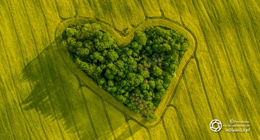Zakątek Miłości - twór natury w polu rzepaku