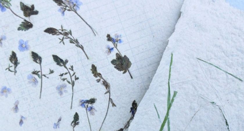 Art-papier – warsztaty czerpania papieru w BiFK
