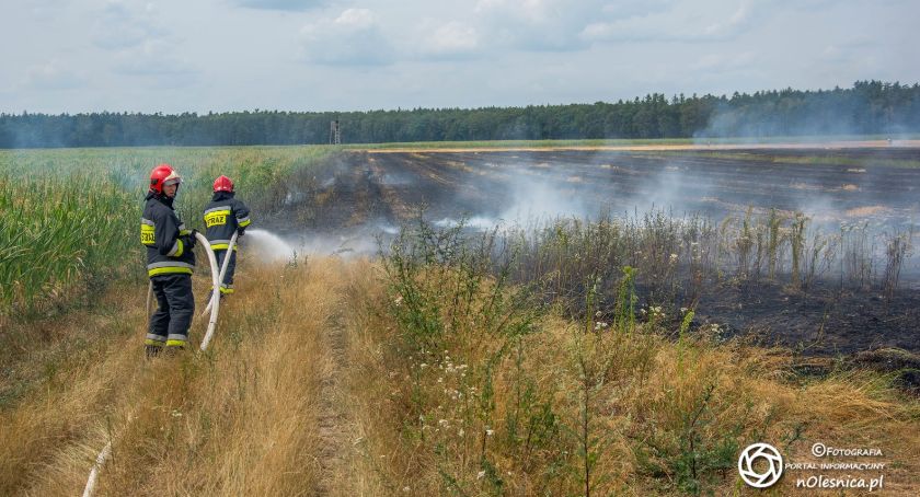 Duży pożar ścierniska w Sokołowicach