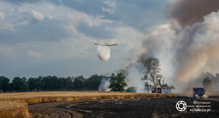 Duży pożar zboża w Brzezince spłonęło ponad 50 ha - interweniowały pożarnicze Dromadery