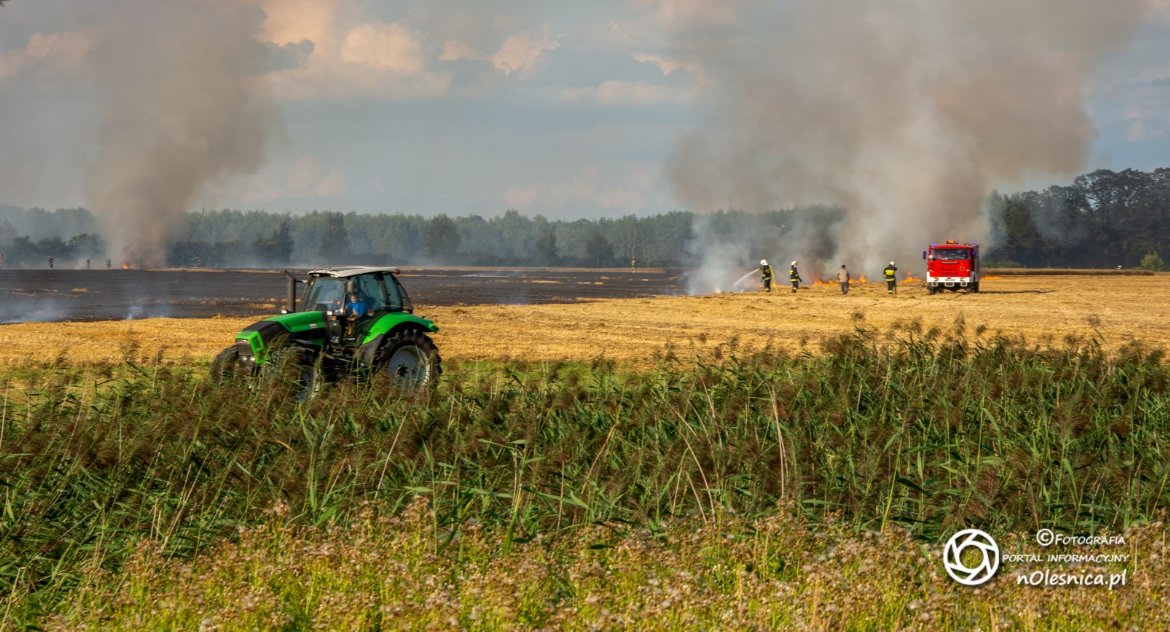 Pożar ścierniska w Boguszycach - VIDEO