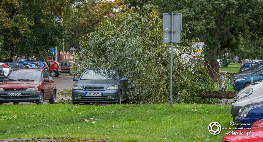 Zerwana linia energetyczna, zerwane dachy i połamane drzewa - skutki silnych wiatrów