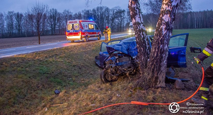 Auto wpadło na drzewo koło Sokołowic