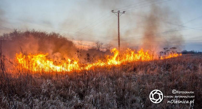 Apel komendanta straży do mieszkańców dotyczący wypalania traw