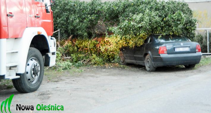 Drzewo przygniotło samochód