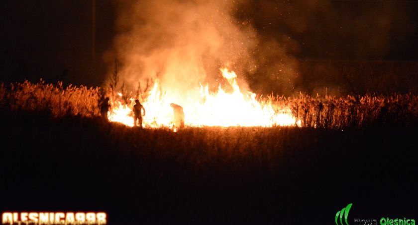 Pożar na Kosynierów