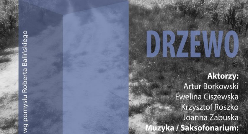 Drzewo