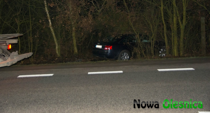 Audi w lesie