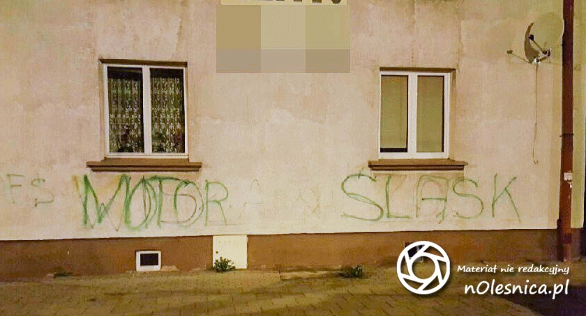 Policja ujęła pijanego wandala