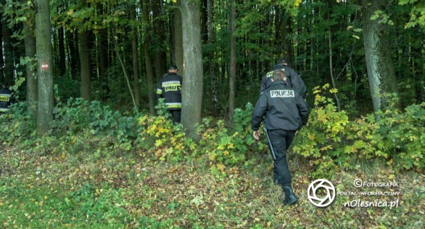 Zwłoki mężczyzny w lesie pod Ostrowiną