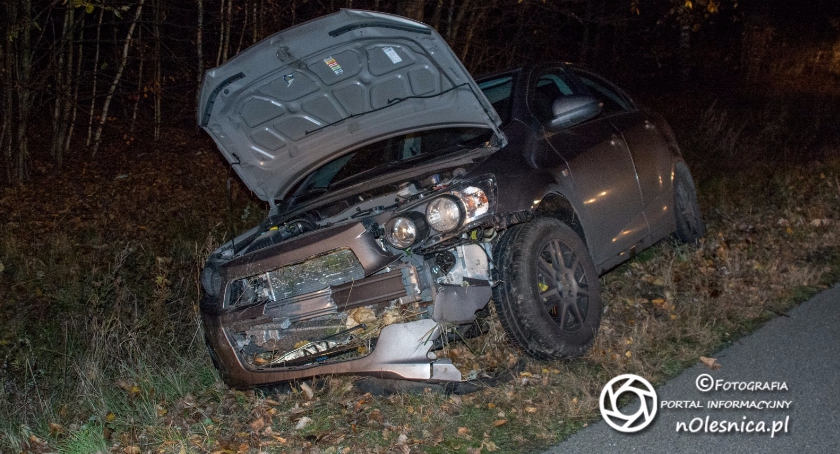 Dzik wpadł pod auto