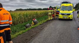 Tragedia przy remoncie drogi. Walec przygniótł 52-le…