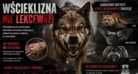  Lato sprzyja pogryzieniom – pamiętaj o zagrożeniu w&hellip;