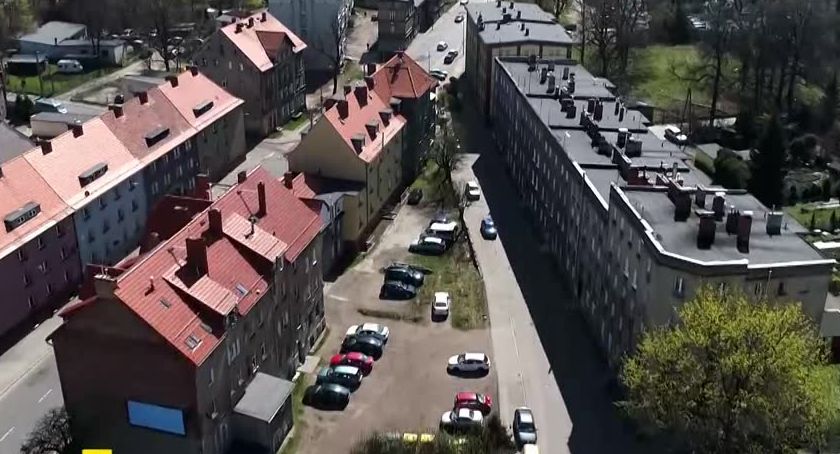 Nastolatkowie znęcali się nad psami?