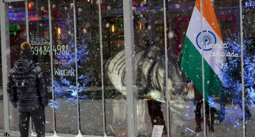 Nosorożec indyjski przy wrocławskim Rynku