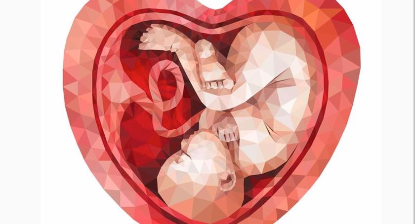 Antyaborcyjne plakaty we Wrocławiu, autorka jest oburzona