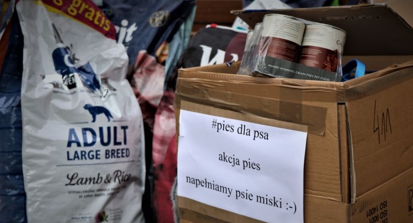 „PIES dla PSA” – finał akcji wrocławskich policjantów