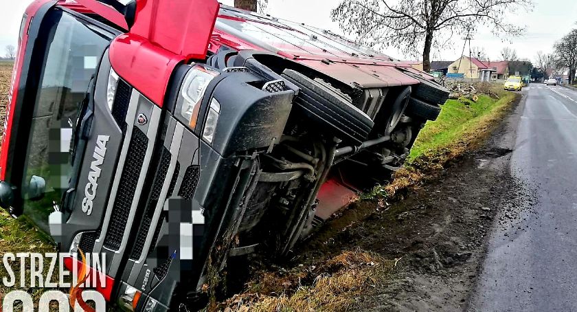 Ciężarówka z bydłem wjechała do rowu