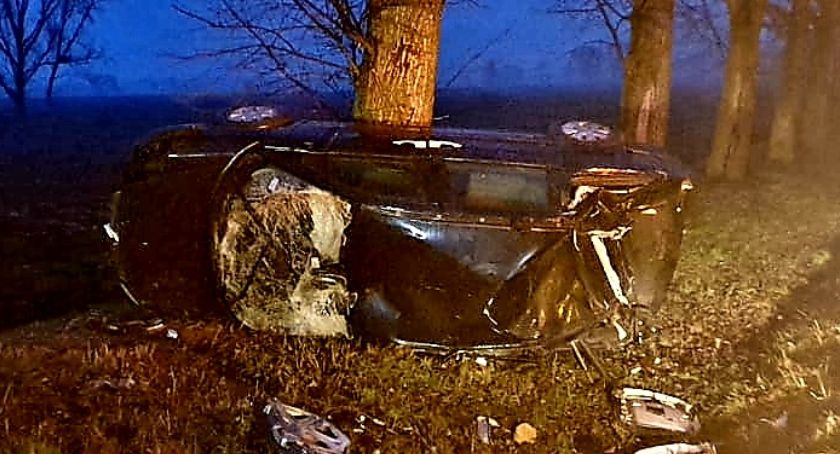 Citroen uderzył w drzewo