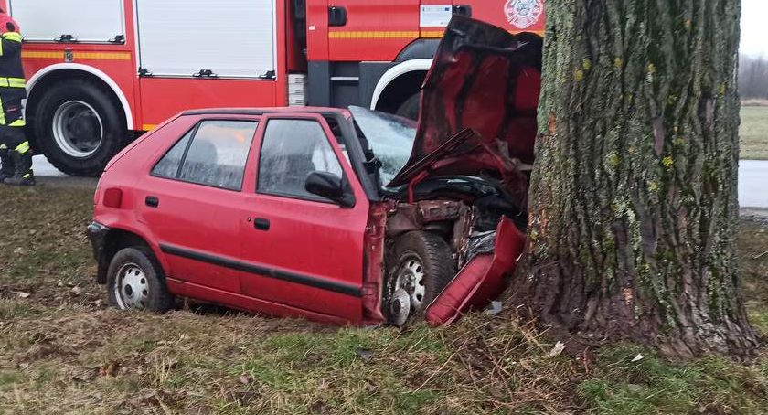 Auto rozbite na drzewie. Jedna osoba w szpitalu.