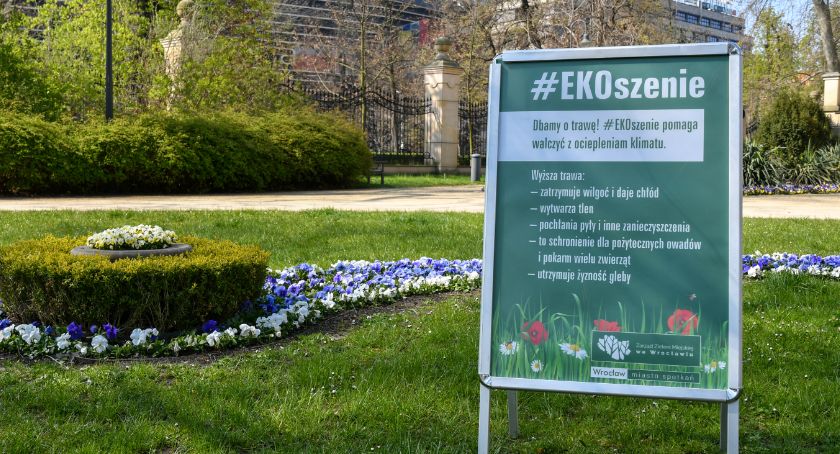 #EKOszenie po wrocławsku