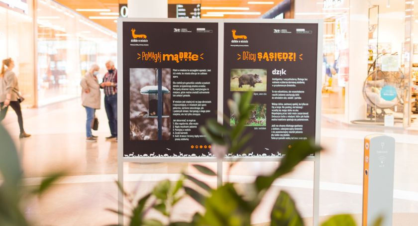  „Dzika” kampania w centrum miasta – Wroclavia i ZOO łączą siły