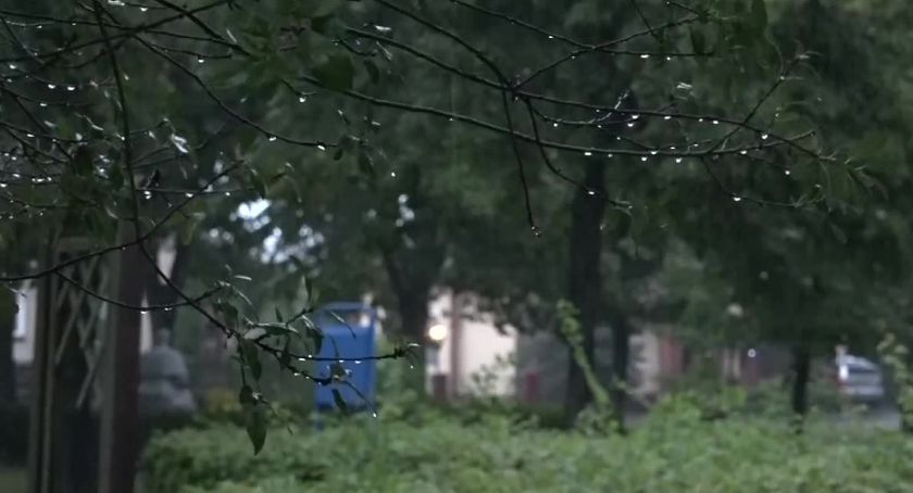 - Nic nie zapowiadało burzy, więc schowaliśmy się pod drzewem -. Grupa osób porażona piorunem w Węglińcu