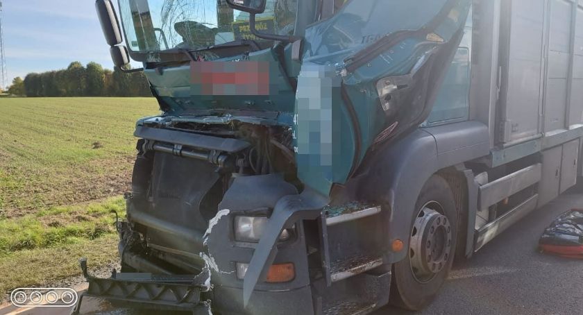 Wypadek ciężarówki przewożącej bydło na DK5 w gminie Kostomłoty
