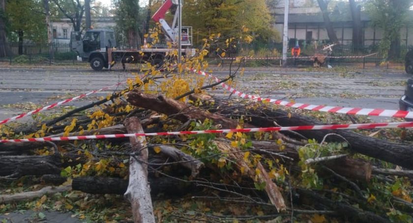 Wichura na Dolnym Śląsku. Nie żyją cztery osoby