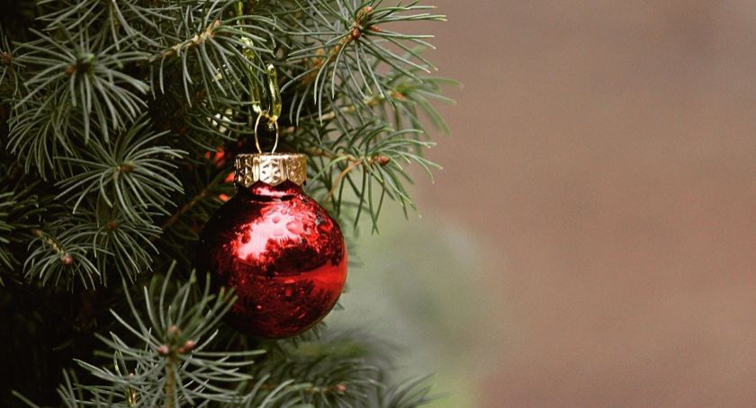 Choinka dla życia - oddaj krew, a otrzymasz drzewko