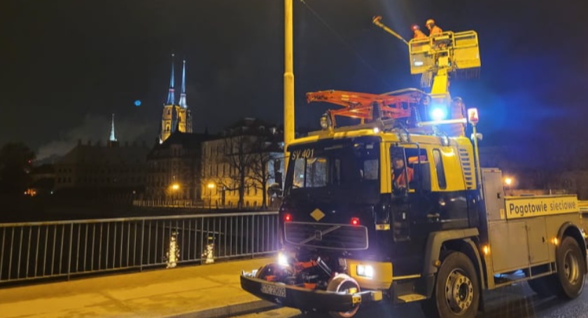 MPK pomaga łabędziom. Sieć trakcyjna bardziej widoczna dla ptaków
