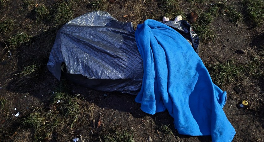 Przez 10 dni karmił łyżeczką martwego psa