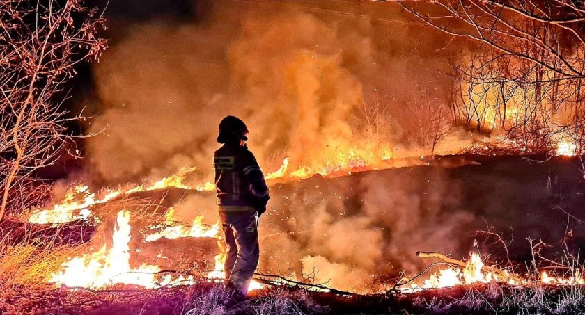 Wypalanie traw. Dolnośląscy strażacy od tygodnia zmagają się ze skutkami ludzkiej bezmyślności. ZDJĘCIA