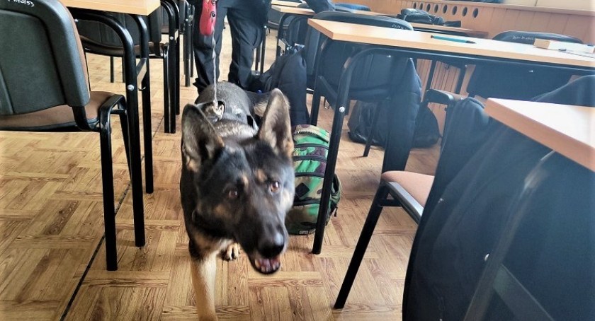 Policja z psem służbowym zawitała do Zespołu Szkół Logistycznych przy ulicy Dawida. Szukano narkotyków i innych środków odurzających