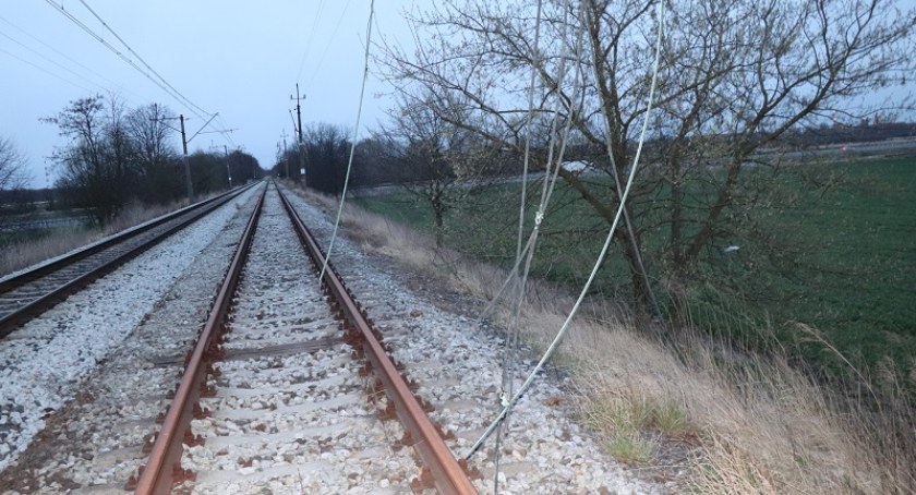 Na gorącym uczynku zatrzymano 31-latka, który kradł elementy trakcji kolejowej. Złodziejowi nie przeszkadzał fakt, że linia była pod napięciem