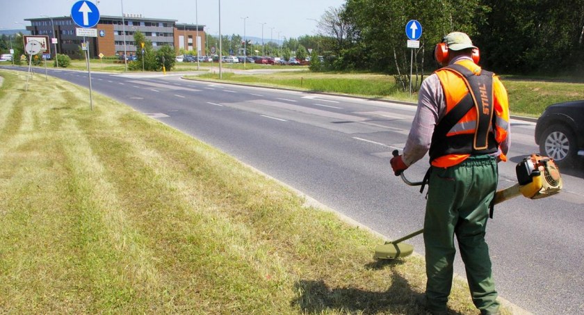 EKOszenie we Wrocławiu – miasto kosi trawniki ekologicznie