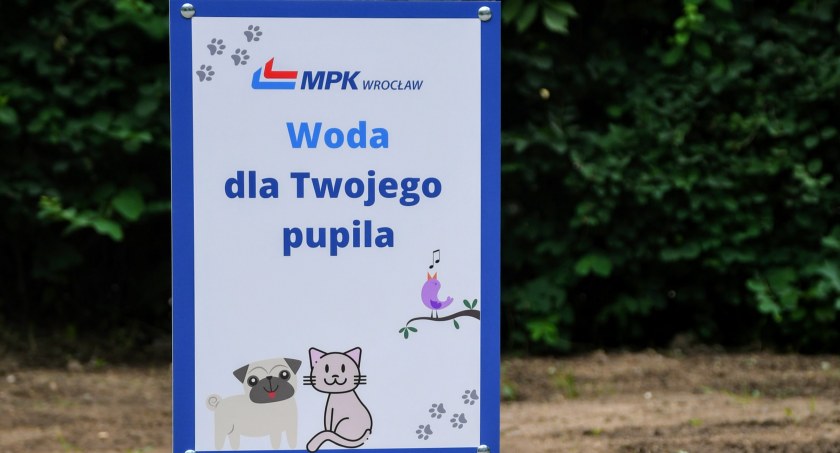 Inicjatywa Psie Pętle powraca - MPK Wrocław zapewni wodę zwierzętom