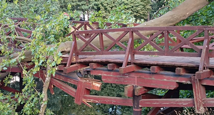 Potężny konar drzewa runął na drewnianą kładkę św. Antoniego. Mostek nad fosą miejską został poważnie uszkodzony