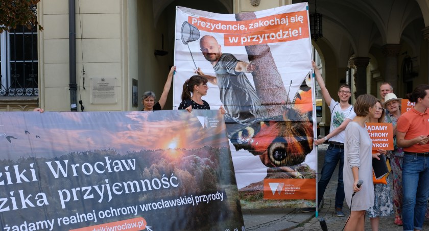 Największa od lat kampania ekologiczna we Wrocławiu! Organizacje ekologiczne żądają ochrony wrocławskiej przyrody