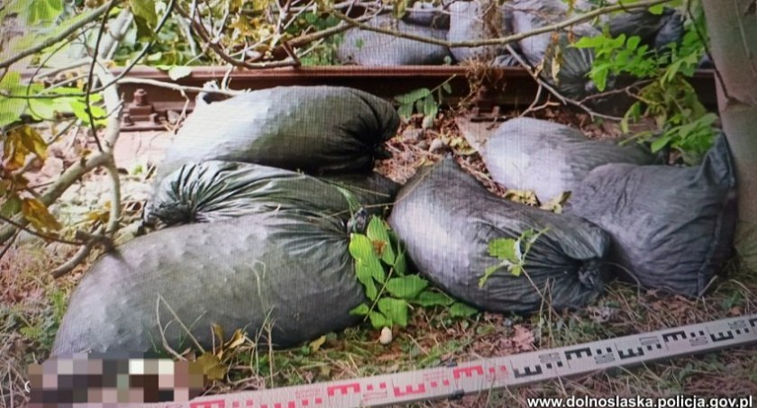  Ukradł worki z opałem, a posiadał „koks” – usłyszał już dwa zarzuty, grozi mu do 5 lat więzienia