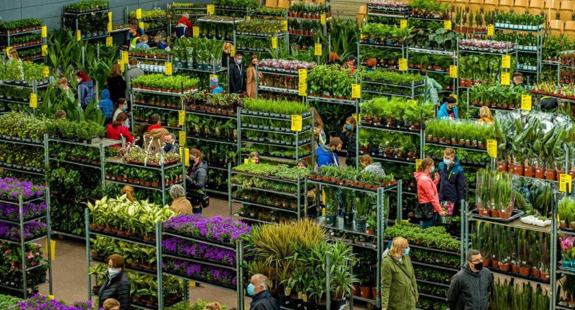 W najbliższą sobotę i niedzielę Festiwal Roślin zawita do Wrocławia