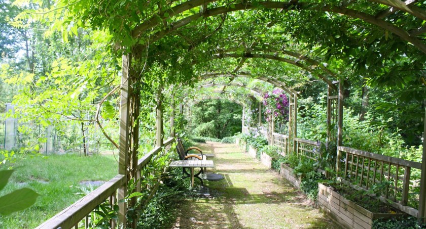 Czym jest pergola tarasowa?