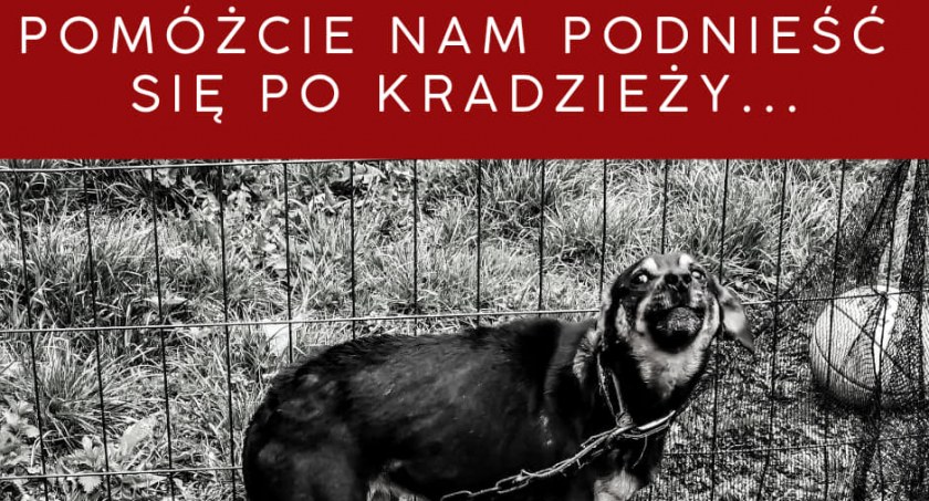 Nieznani sprawcy okradli magazyn Dolnośląskiej Straży ds. Zwierząt. Zwyrodnialcy zrobili to w wigilijny wieczór
