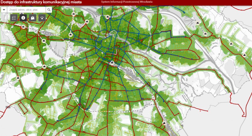 Zielony pająk pojawił się na Wrocławiu