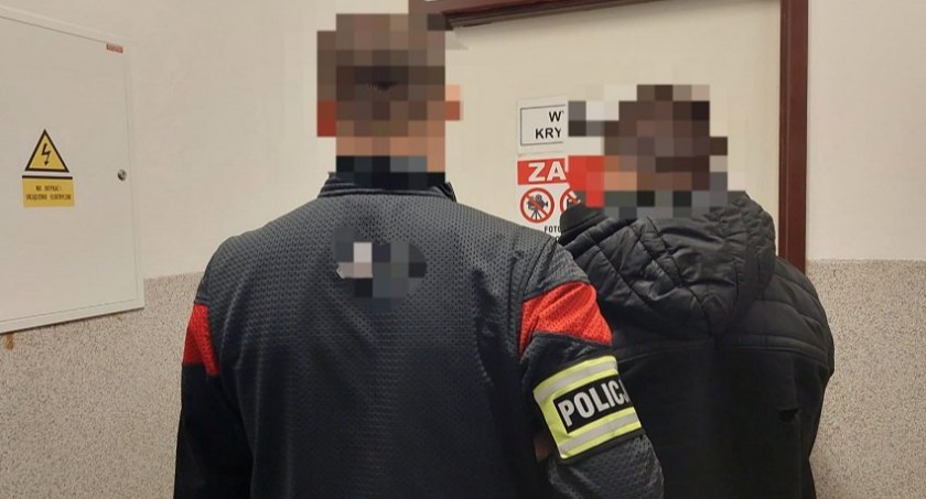 Kradł drewno z lasu i sprzedawał w Internecie. Grozi mu kara nawet 5 lat pozbawienia wolności