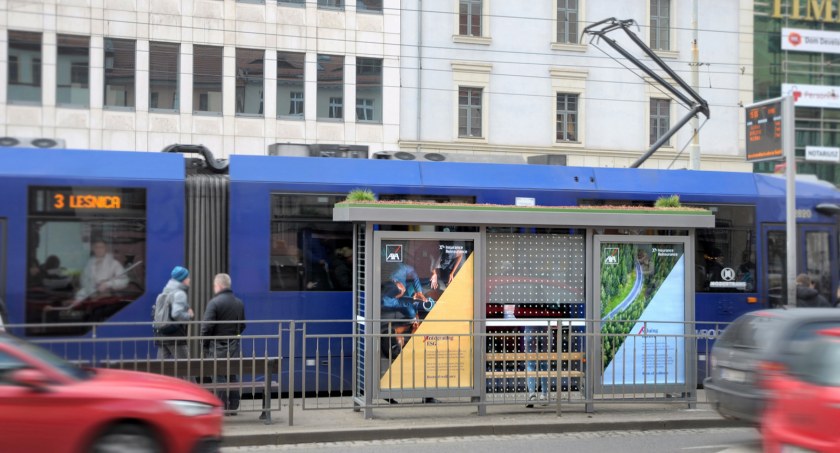 Pierwsza EKO wiata AMS we Wrocławiu. Tej miejskiej zieleni nie trzeba podlewać