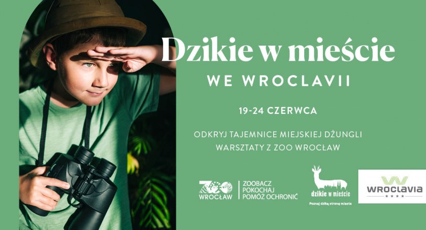 Jak zachować się, gdy zobaczymy w mieście szopa lub sarnę?  Wroclavia i wrocławskie zoo zapraszają na warsztaty w ramach kampanii Dzikie w mieście  