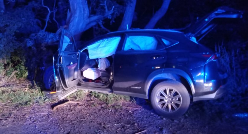 Groźna kolizja w Czernicy. Lexus uderzył w drzewo